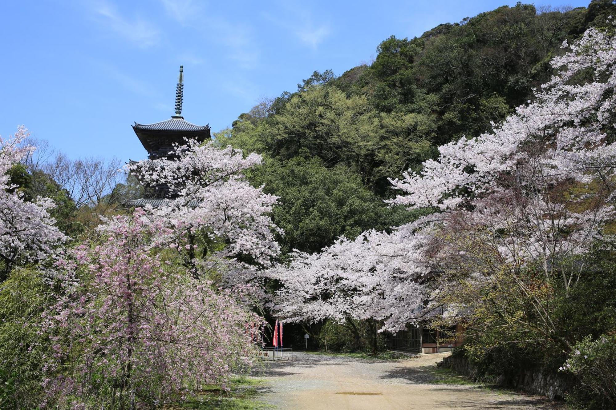 Ryokan Koyokan Yasugi Eksteriør billede