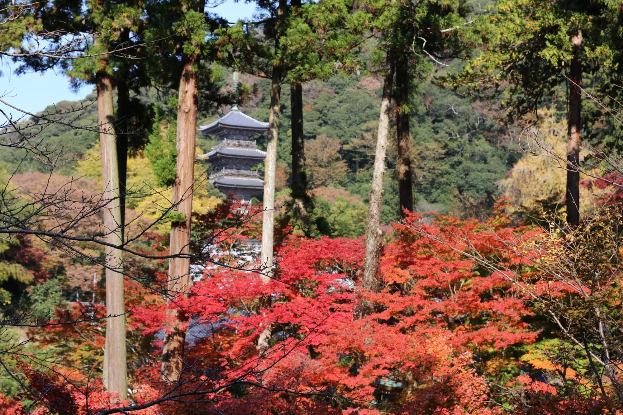 Ryokan Koyokan Yasugi Eksteriør billede