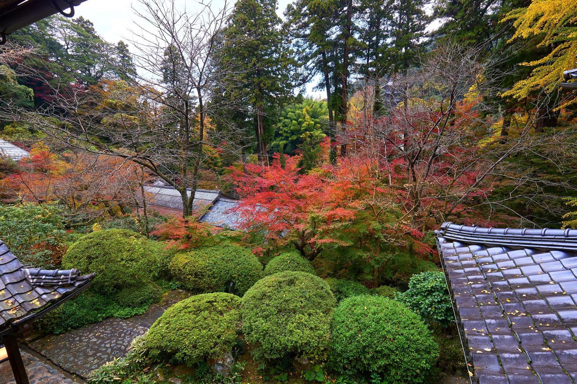 Ryokan Koyokan Yasugi Eksteriør billede